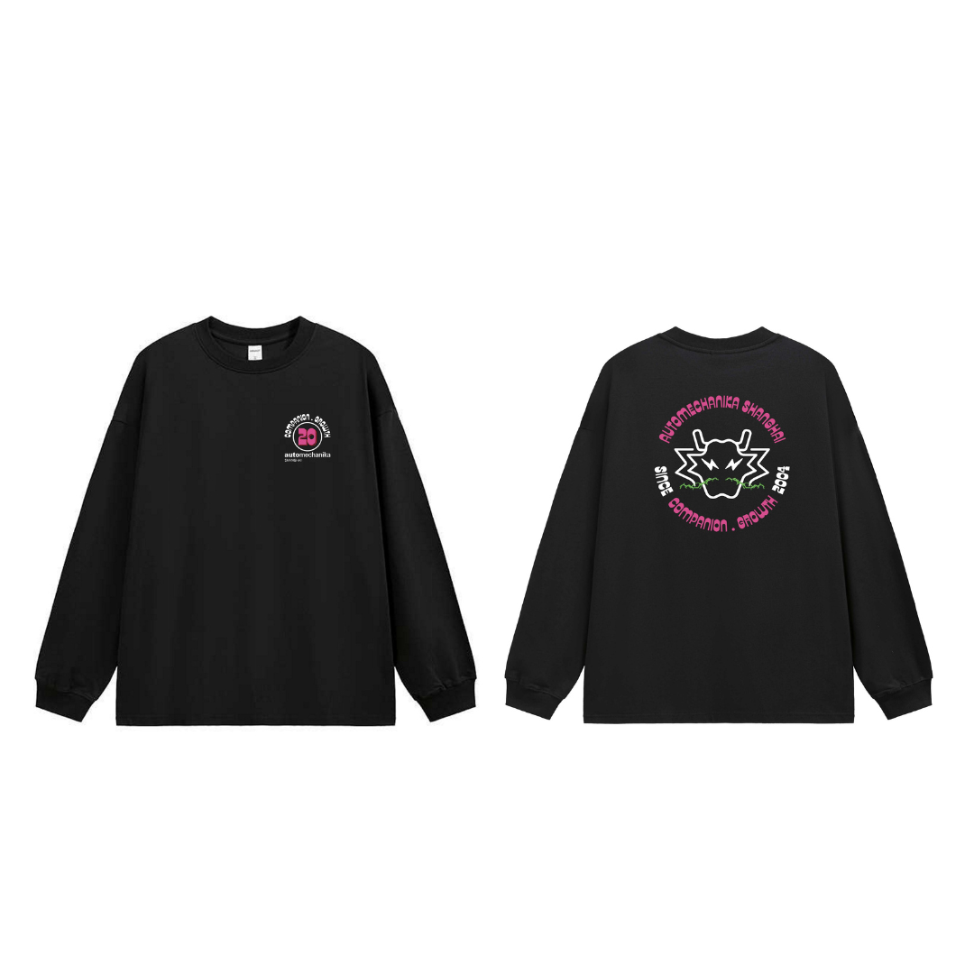 AMS25 - souvenir website update - 12