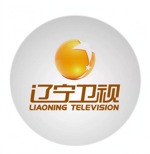辽宁卫视